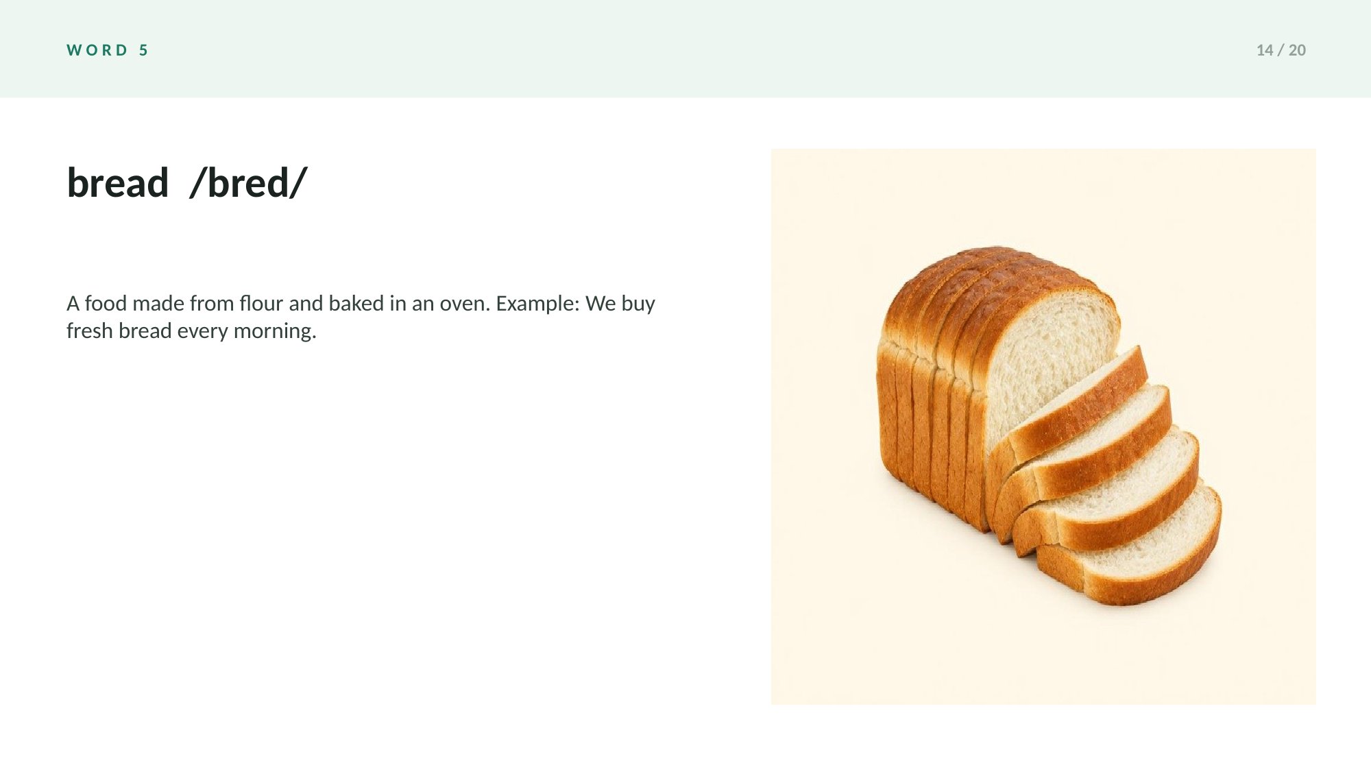 Picture Vocabulary Slides — page 14 of 20