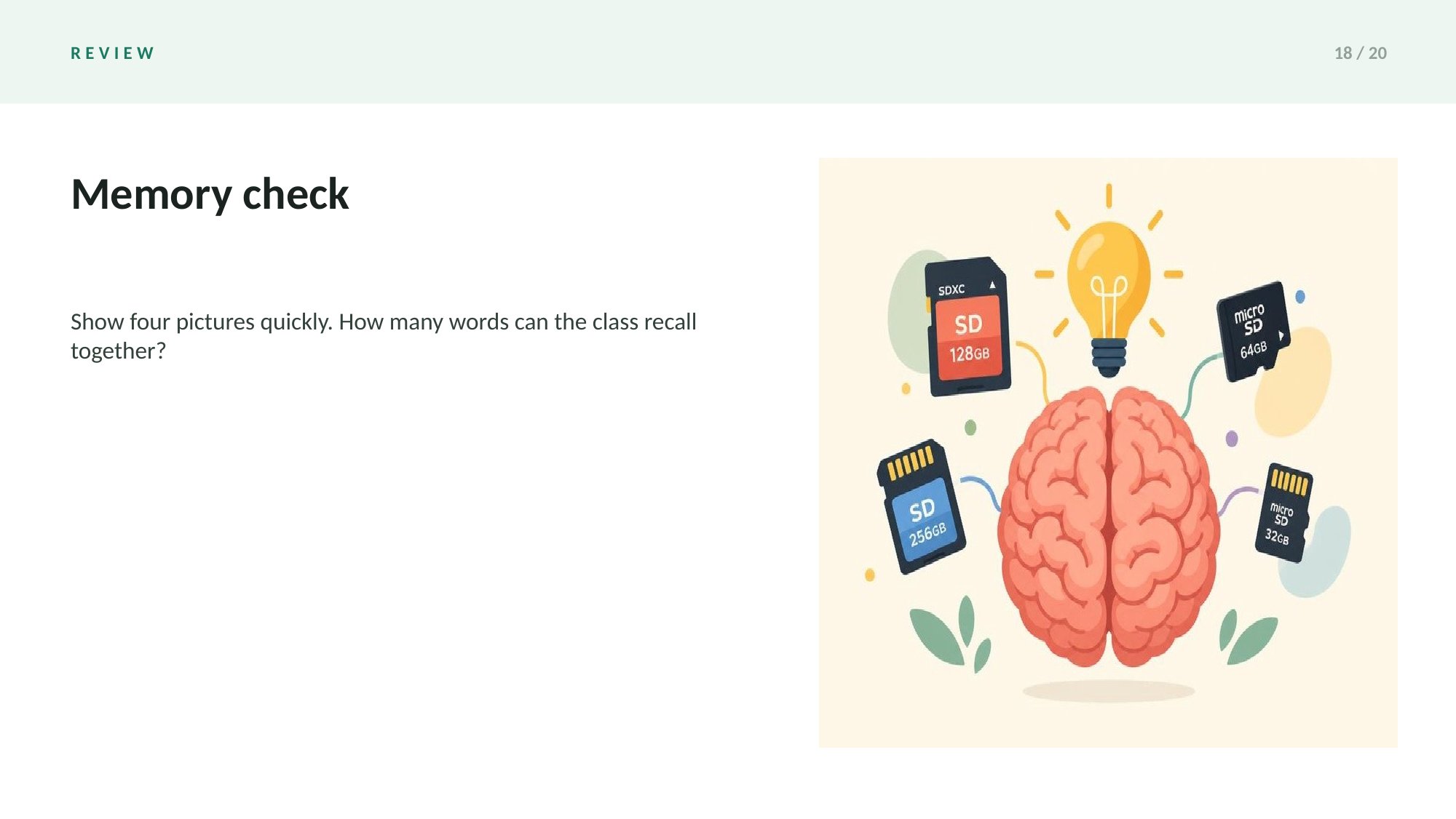 Picture Vocabulary Slides — page 18 of 20