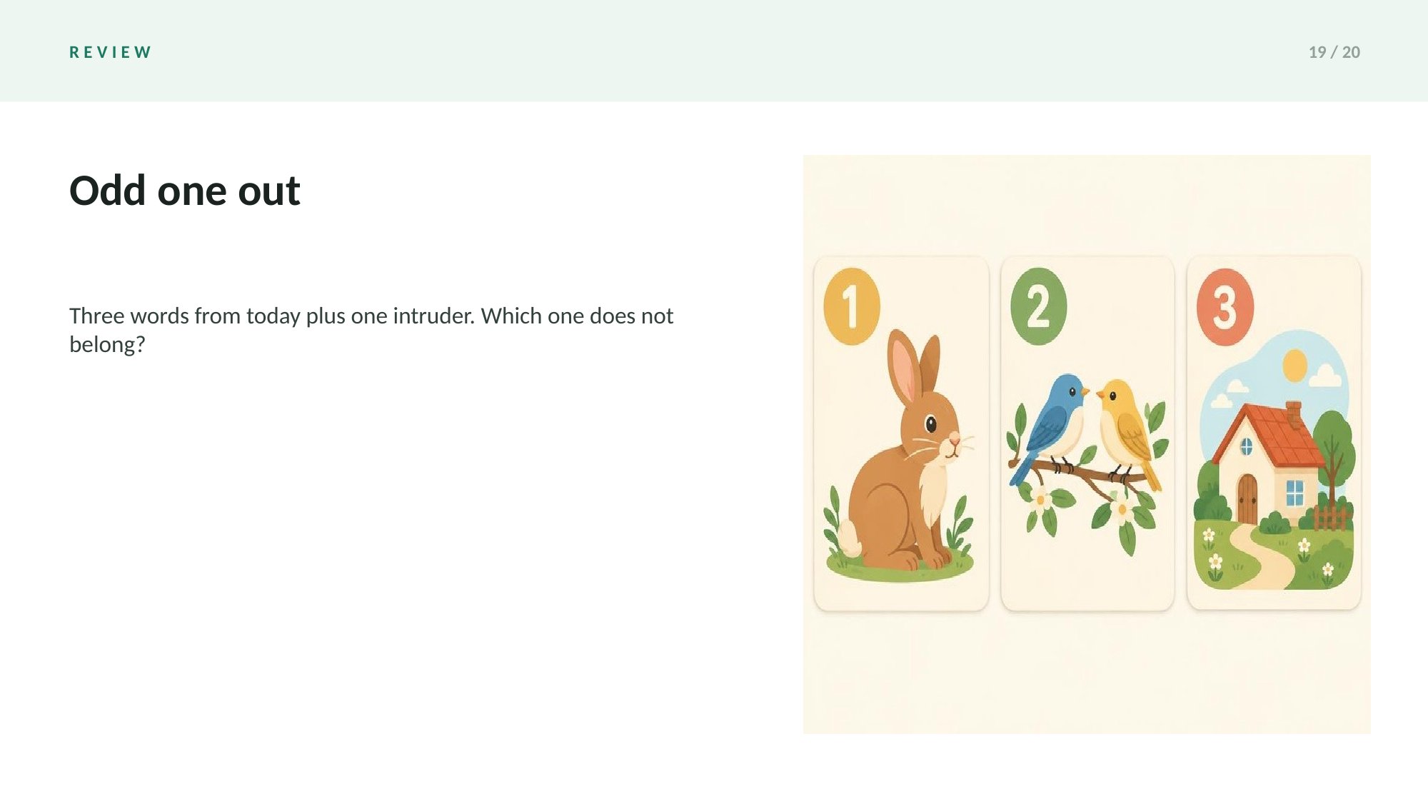 Picture Vocabulary Slides — page 19 of 20