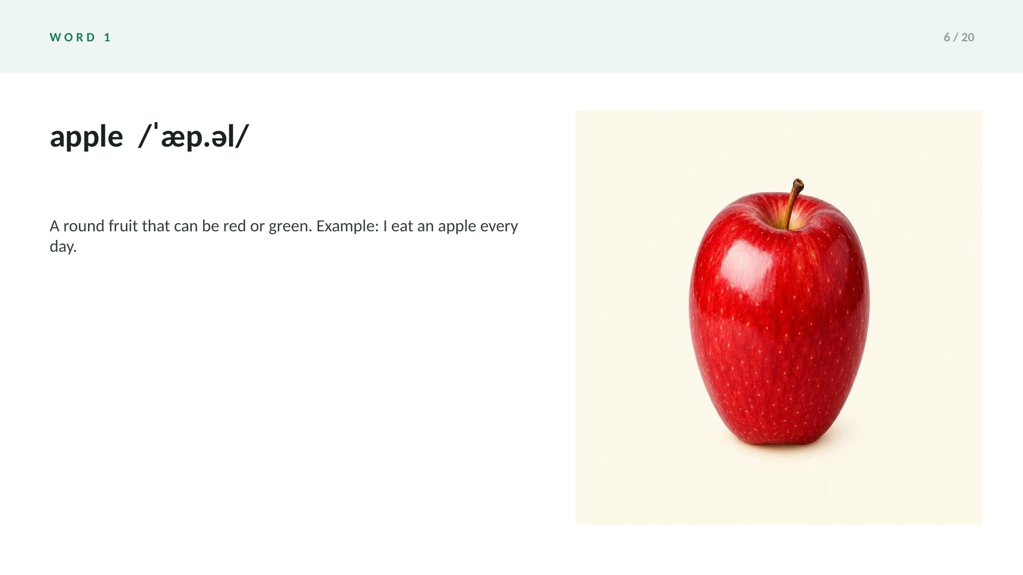 Picture Vocabulary Slides — page 6 of 20